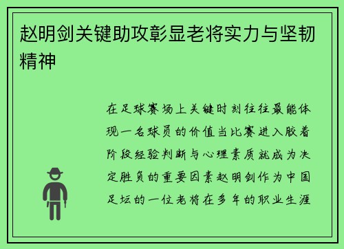 赵明剑关键助攻彰显老将实力与坚韧精神